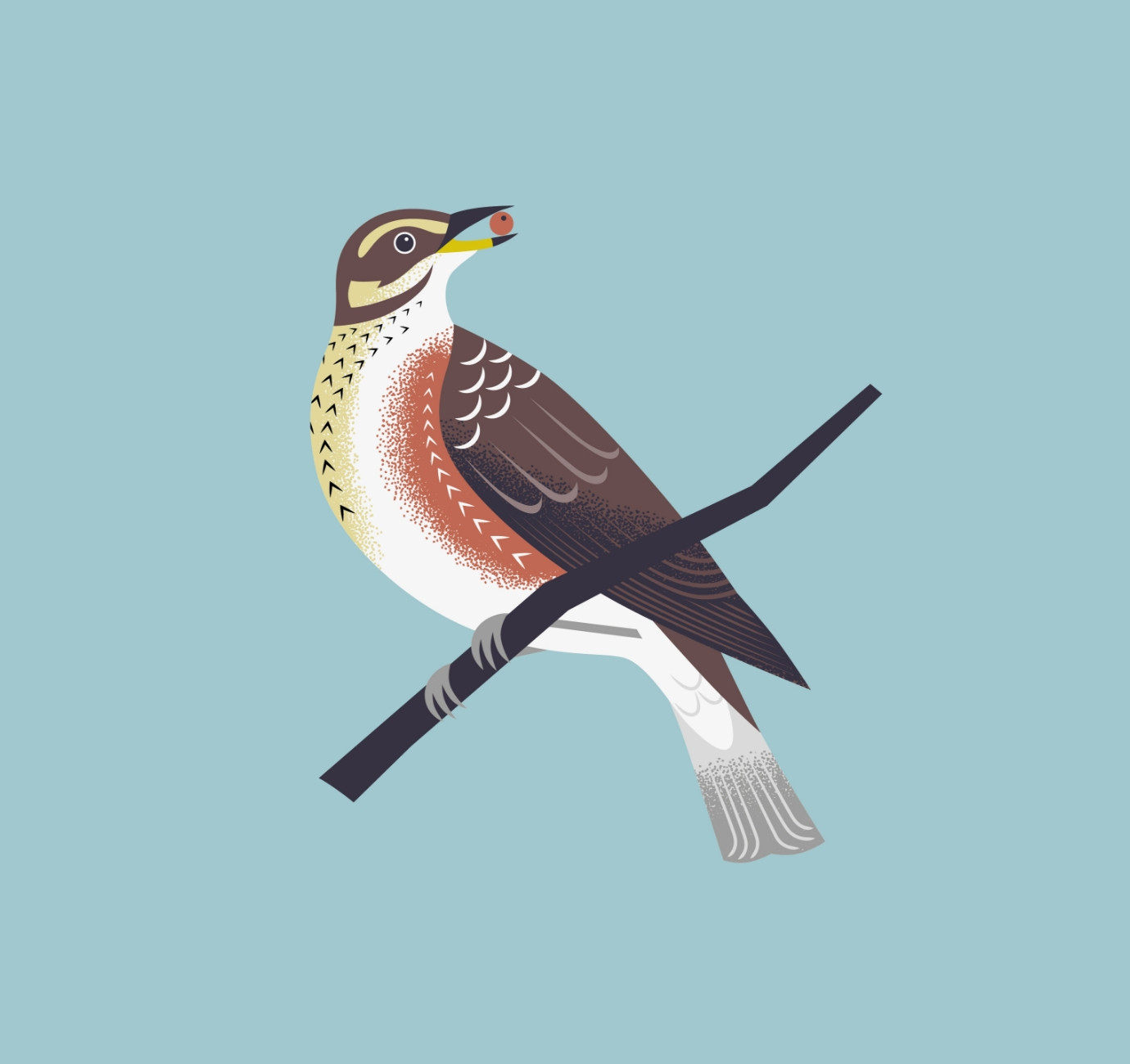 Lincs County Council bird spotting illustration by Root Studio
